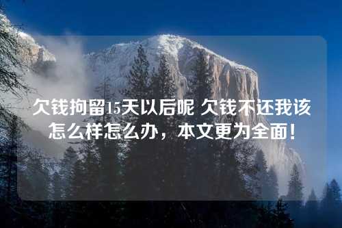 欠钱拘留15天以后呢 欠钱不还我该怎么样怎么办，本文更为全面！