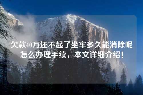 欠款40万还不起了坐牢多久能消除呢怎么办理手续，本文详细介绍！