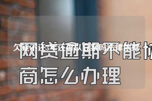 欠钱不还3年还可以立案吗法律依据