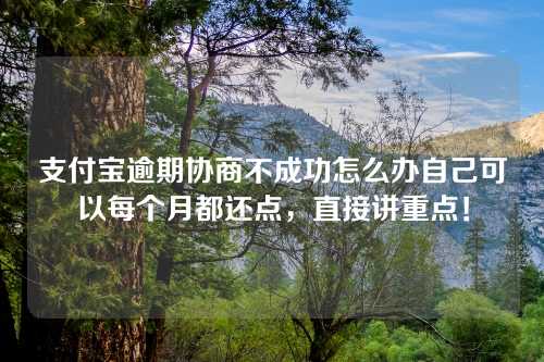 支付宝逾期协商不成功怎么办自己可以每个月都还点，直接讲重点！