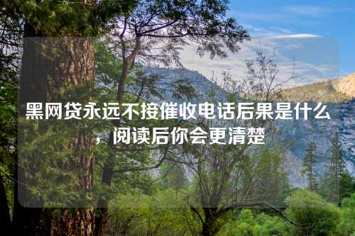 黑网贷永远不接催收电话后果是什么，阅读后你会更清楚