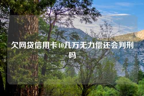 欠网贷信用卡40几万无力偿还会判刑吗