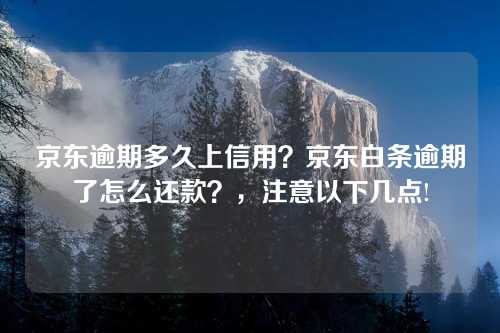 京东逾期多久上信用？京东白条逾期了怎么还款？，注意以下几点!