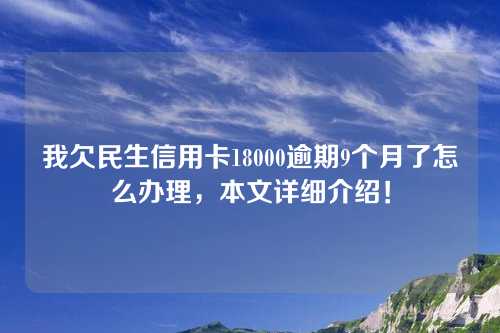 我欠民生信用卡18000逾期9个月了怎么办理，本文详细介绍！