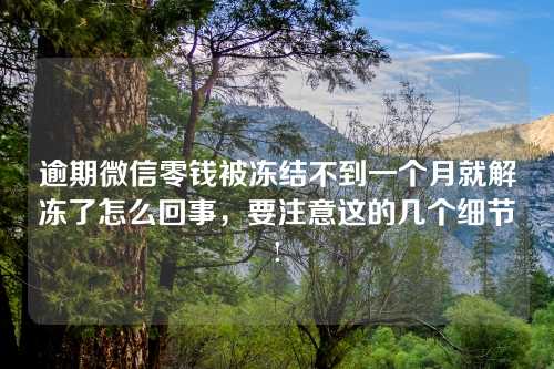 逾期微信零钱被冻结不到一个月就解冻了怎么回事，要注意这的几个细节!