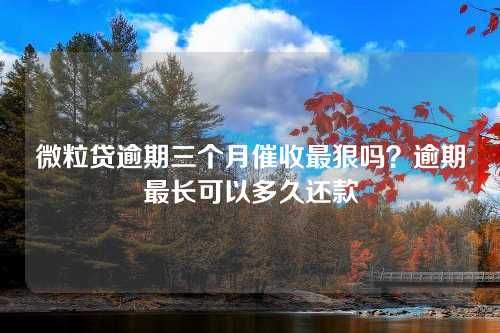 微粒贷逾期三个月催收最狠吗？逾期最长可以多久还款