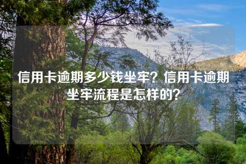 信用卡逾期多少钱坐牢？信用卡逾期坐牢流程是怎样的？