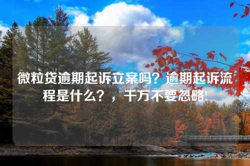 微粒贷逾期起诉立案吗？逾期起诉流程是什么？，千万不要忽略!