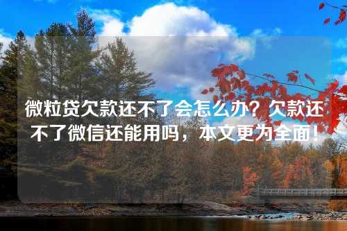 微粒贷欠款还不了会怎么办？欠款还不了微信还能用吗，本文更为全面！