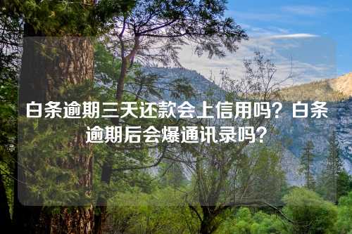 白条逾期三天还款会上信用吗？白条逾期后会爆通讯录吗？