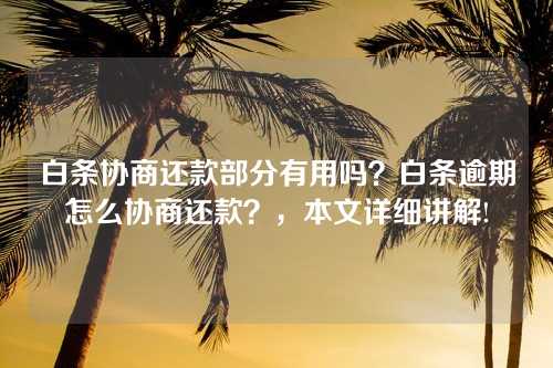 白条协商还款部分有用吗？白条逾期怎么协商还款？，本文详细讲解!