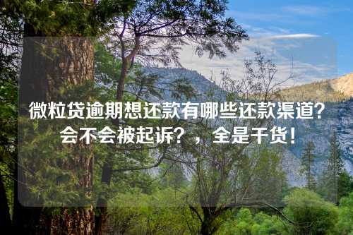 微粒贷逾期想还款有哪些还款渠道？会不会被起诉？，全是干货！