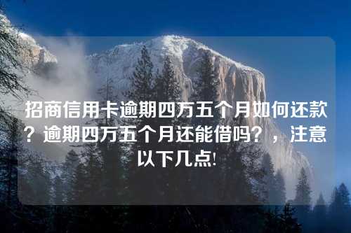 招商信用卡逾期四万五个月如何还款？逾期四万五个月还能借吗？，注意以下几点!