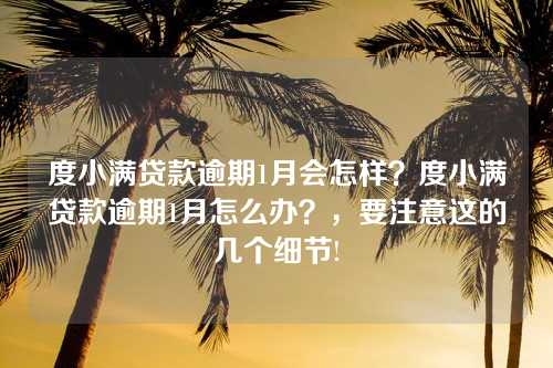 度小满贷款逾期1月会怎样？度小满贷款逾期1月怎么办？，要注意这的几个细节!