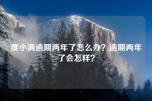 度小满逾期两年了怎么办？逾期两年了会怎样？