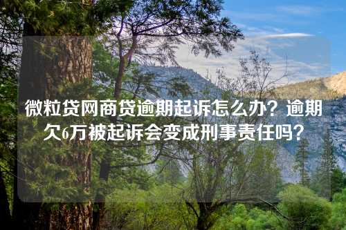 微粒贷网商贷逾期起诉怎么办？逾期欠6万被起诉会变成刑事责任吗？