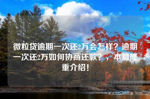 微粒贷逾期一次还2万会怎样？逾期一次还2万如何协商还款？，本篇隆重介绍！