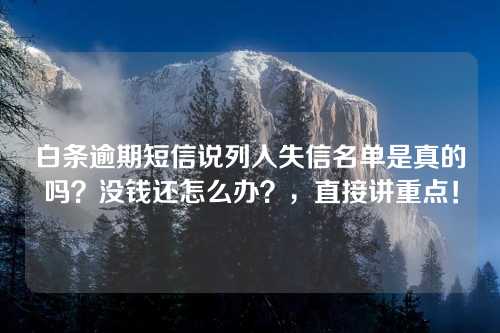 白条逾期短信说列入失信名单是真的吗？没钱还怎么办？，直接讲重点！