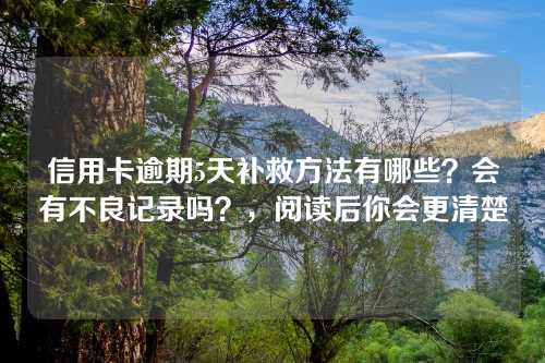 信用卡逾期5天补救方法有哪些？会有不良记录吗？，阅读后你会更清楚