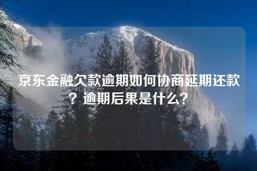 京东金融欠款逾期如何协商延期还款？逾期后果是什么？