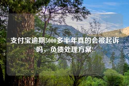 支付宝逾期5000多半年真的会被起诉吗，负债处理方案!