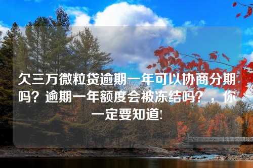 欠三万微粒贷逾期一年可以协商分期吗？逾期一年额度会被冻结吗？，你一定要知道!