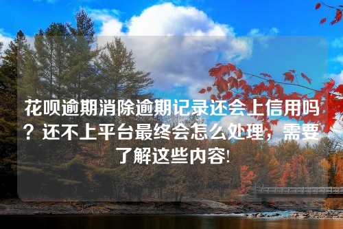 花呗逾期消除逾期记录还会上信用吗？还不上平台最终会怎么处理，需要了解这些内容!