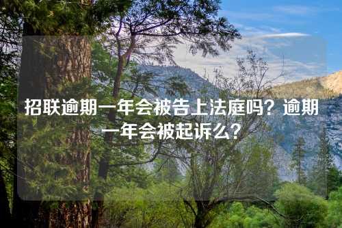 招联逾期一年会被告上法庭吗？逾期一年会被起诉么？