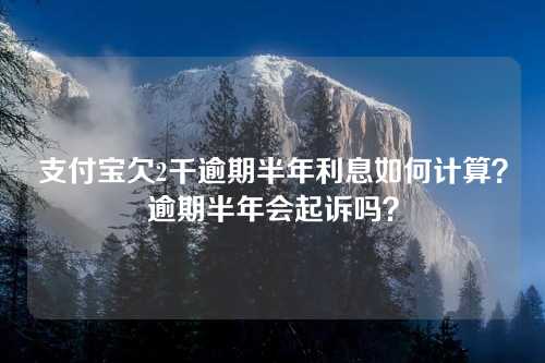 支付宝欠2千逾期半年利息如何计算？逾期半年会起诉吗？