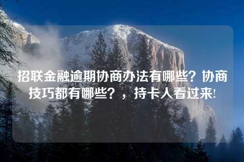 招联金融逾期协商办法有哪些？协商技巧都有哪些？，持卡人看过来!