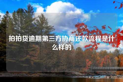 拍拍贷逾期第三方协商还款流程是什么样的