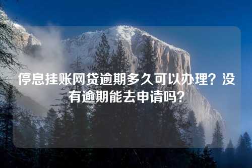 停息挂账网贷逾期多久可以办理？没有逾期能去申请吗？