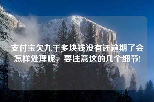 支付宝欠九千多块钱没有还逾期了会怎样处理呢，要注意这的几个细节!