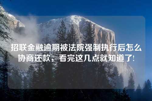 招联金融逾期被法院强制执行后怎么协商还款，看完这几点就知道了!