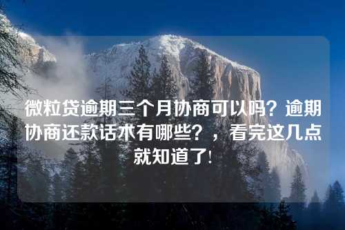 微粒贷逾期三个月协商可以吗？逾期协商还款话术有哪些？，看完这几点就知道了!