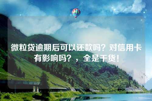 微粒贷逾期后可以还款吗？对信用卡有影响吗？，全是干货！