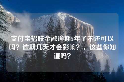 支付宝招联金融逾期5年了不还可以吗？逾期几天才会影响？，这些你知道吗？