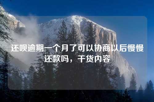 还呗逾期一个月了可以协商以后慢慢还款吗，干货内容