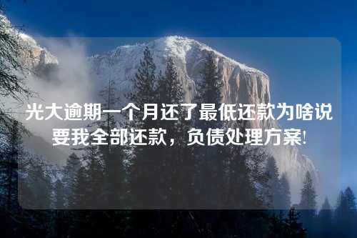 光大逾期一个月还了最低还款为啥说要我全部还款，负债处理方案!