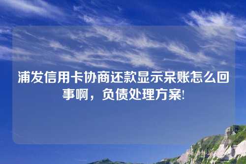 浦发信用卡协商还款显示呆账怎么回事啊，负债处理方案!