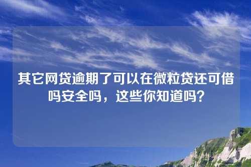 其它网贷逾期了可以在微粒贷还可借吗安全吗，这些你知道吗？