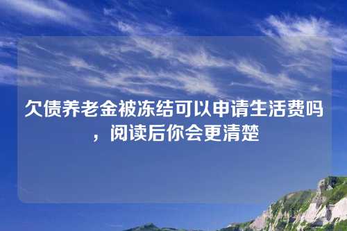 欠债养老金被冻结可以申请生活费吗，阅读后你会更清楚