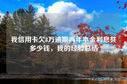 我信用卡欠8万逾期两年本金利息共多少钱，我的经验总结