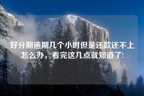 好分期逾期几个小时但是还款还不上怎么办，看完这几点就知道了!