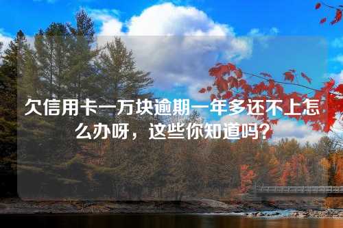 欠信用卡一万块逾期一年多还不上怎么办呀，这些你知道吗？