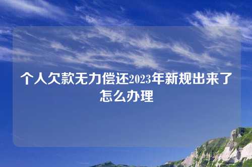 个人欠款无力偿还2023年新规出来了怎么办理