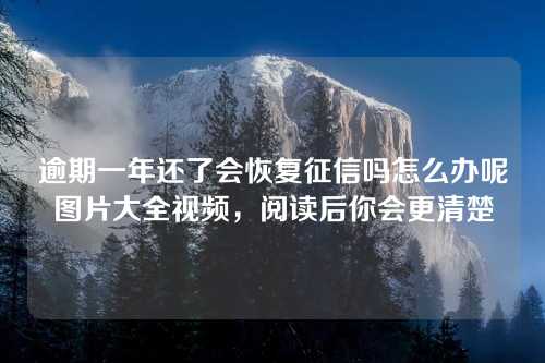 逾期一年还了会恢复征信吗怎么办呢图片大全视频，阅读后你会更清楚