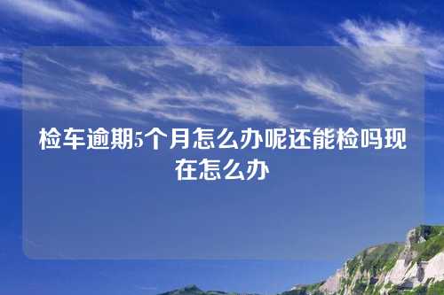 检车逾期5个月怎么办呢还能检吗现在怎么办