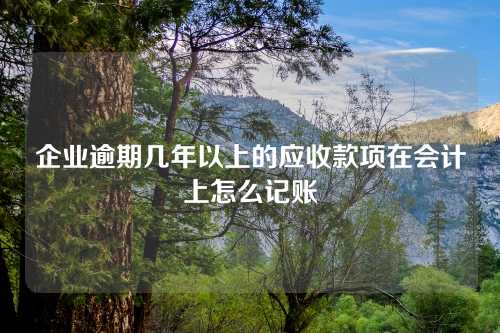 企业逾期几年以上的应收款项在会计上怎么记账