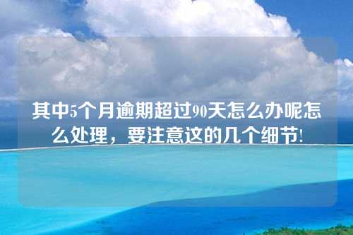 其中5个月逾期超过90天怎么办呢怎么处理，要注意这的几个细节!